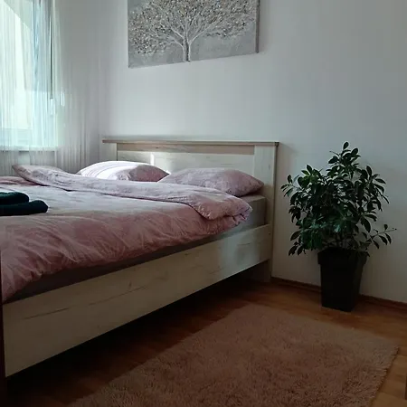 Alacaster G Free Parking Novi Sad