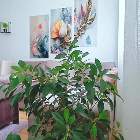 Alacaster G Free Parking