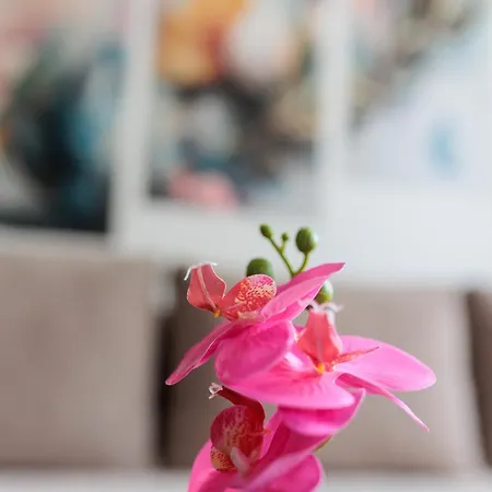 Alacaster G Free Parking *