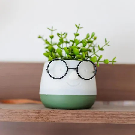 Alacaster G Free Parking