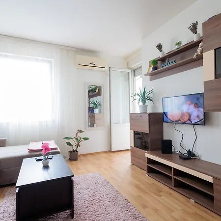 Alacaster G Free Parking Novi Sad