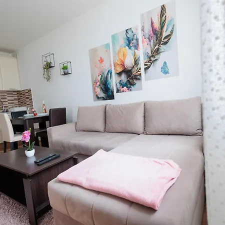 Alacaster G Free Parking Novi Sad