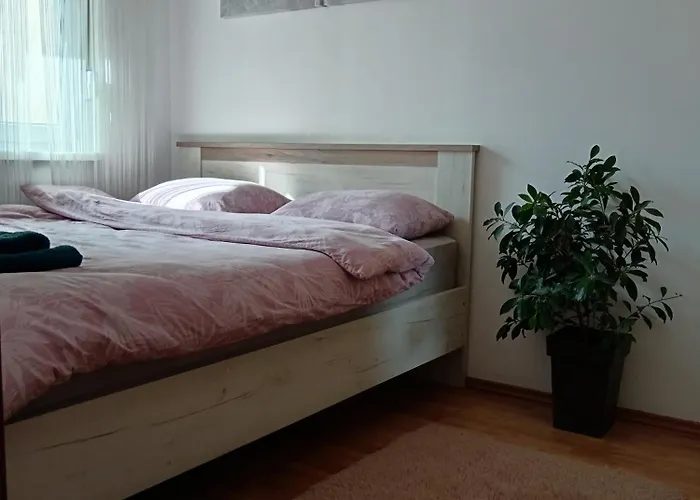 Alacaster G Free Parking نوفي ساد