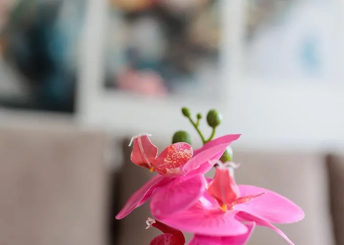 Alacaster G Free Parking *