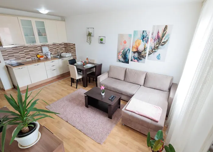 Alacaster G Free Parking شقة نوفي ساد