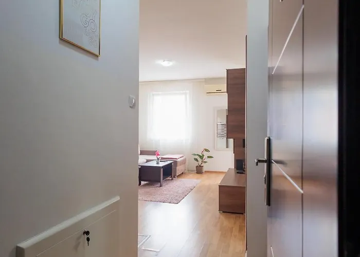 Alacaster G Free Parking شقة نوفي ساد