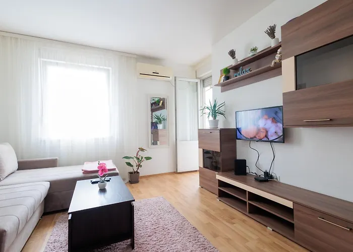 Alacaster G Free Parking نوفي ساد