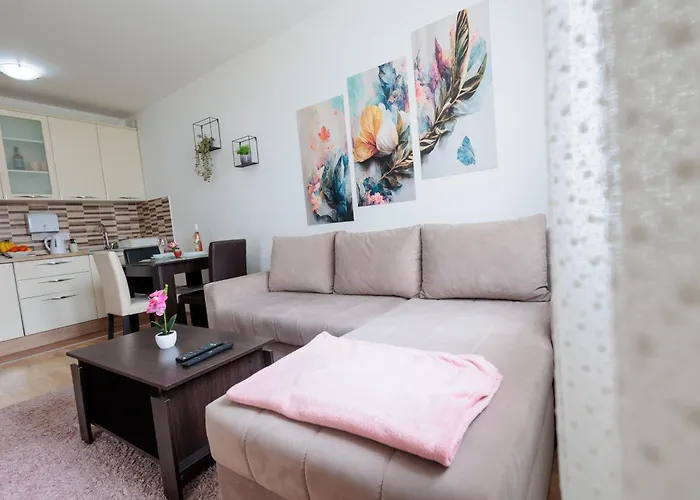 Alacaster G Free Parking نوفي ساد